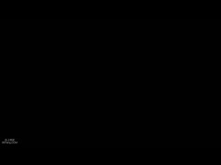 hbad-336