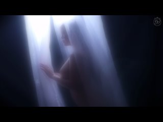 dldss-527