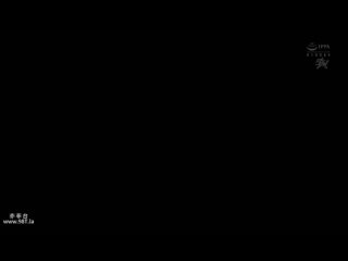 dass-533